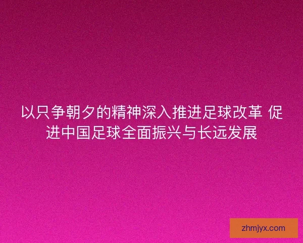 以只争朝夕的精神深入推进足球改革 促进中国足球全面振兴与长远发展